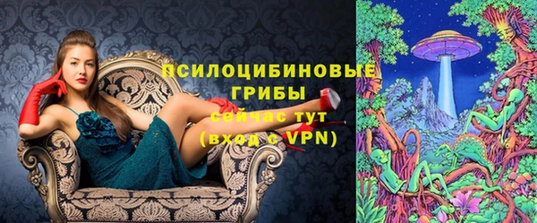 ГАЛЛЮЦИНОГЕННЫЕ ГРИБЫ Балабаново