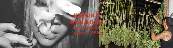 ГАЛЛЮЦИНОГЕННЫЕ ГРИБЫ Балабаново