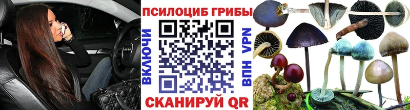 Галлюциногенные грибы мицелий  Лесозаводск 