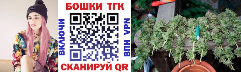 хочу наркоту  Лесозаводск  Канабис индика 